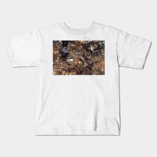 Smoky quartz crystals (C002/6199) Kids T-Shirt